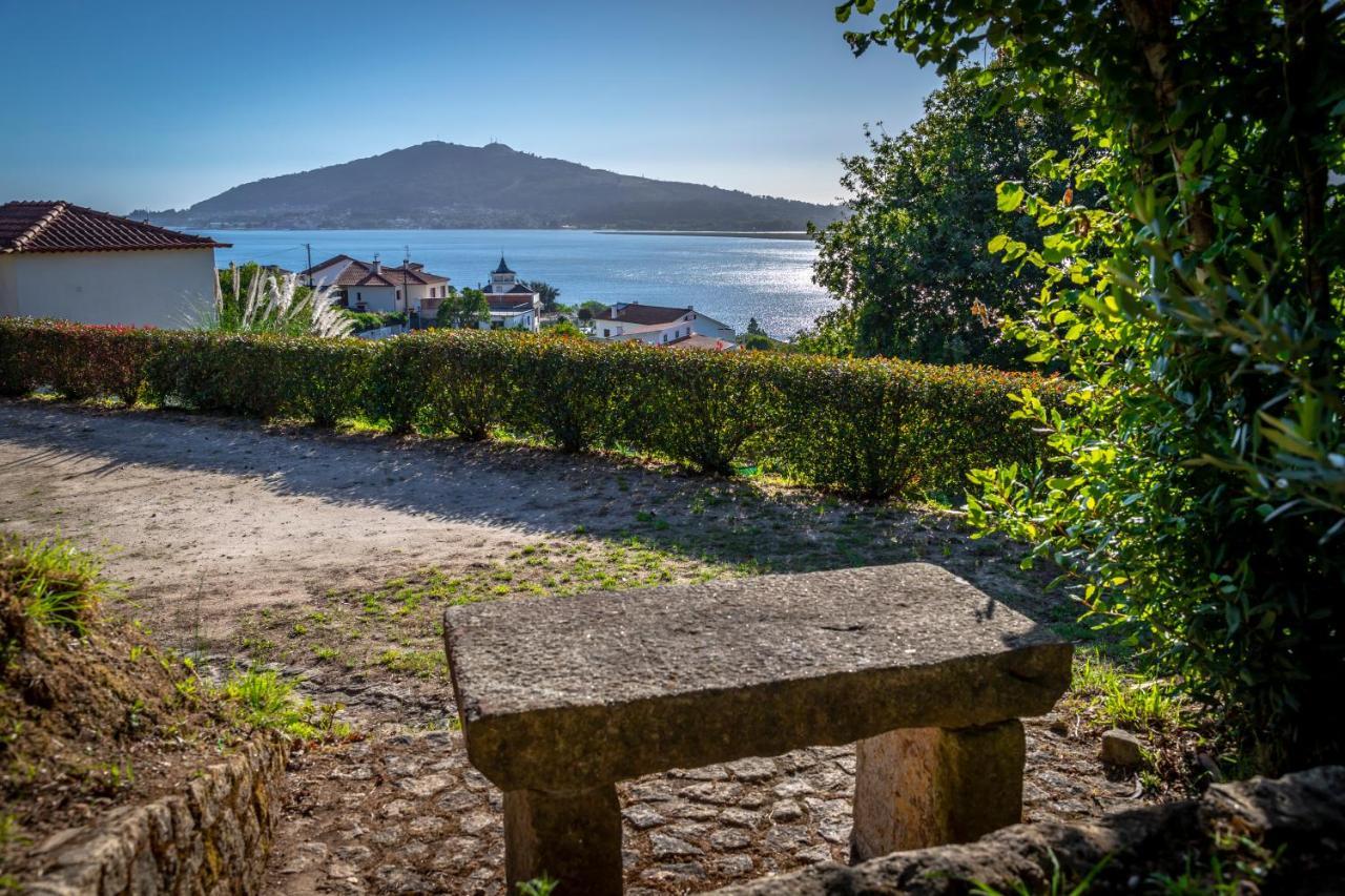 Amare Caminha